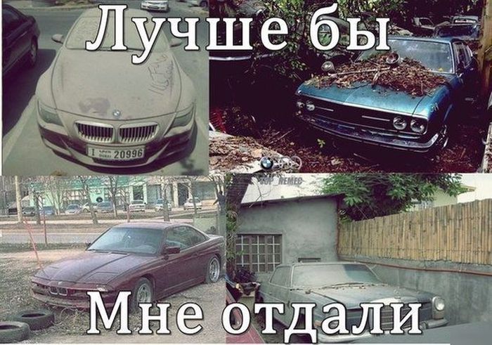 Порция картинок