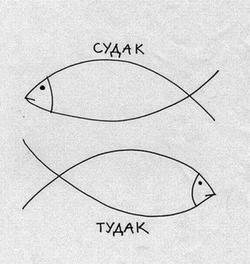 Порция картинок