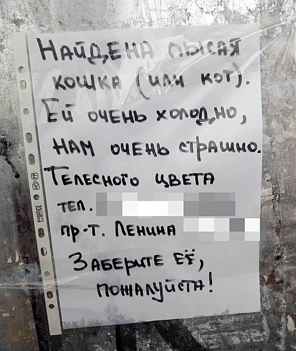 Порция картинок