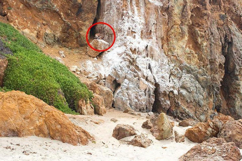 Видите обнаженных девушек на этих фотографиях? А они есть!