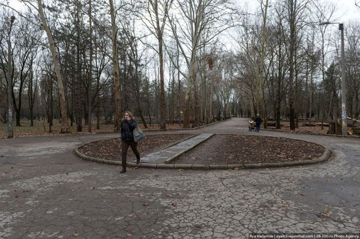Откуда берется грязь на улицах наших городов Откуда берется грязь на улицах наших городов