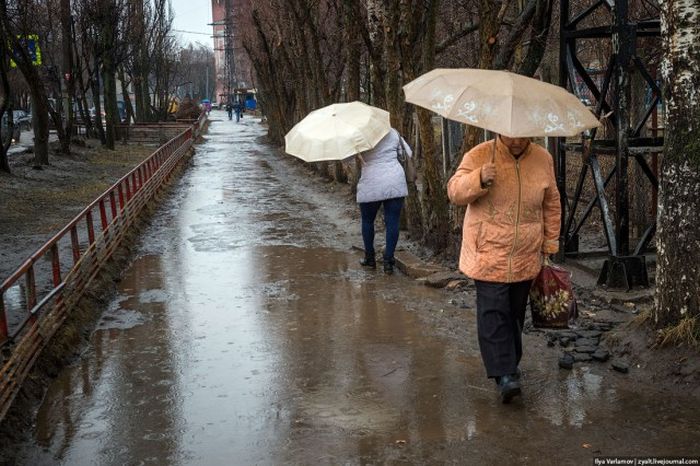 Откуда берется грязь на улицах наших городов Откуда берется грязь на улицах наших городов
