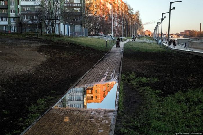 Откуда берется грязь на улицах наших городов Откуда берется грязь на улицах наших городов