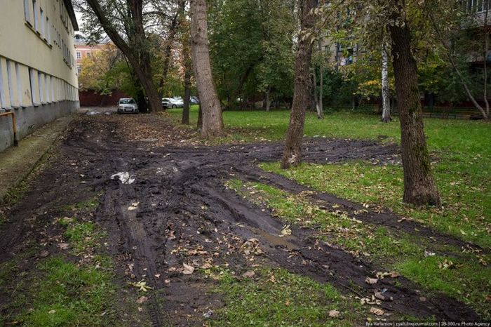 Откуда берется грязь на улицах наших городов Откуда берется грязь на улицах наших городов