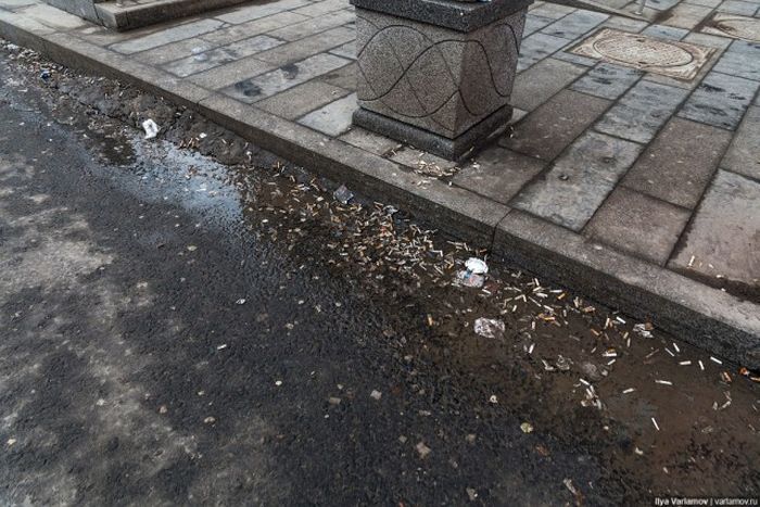 Откуда берется грязь на улицах наших городов Откуда берется грязь на улицах наших городов