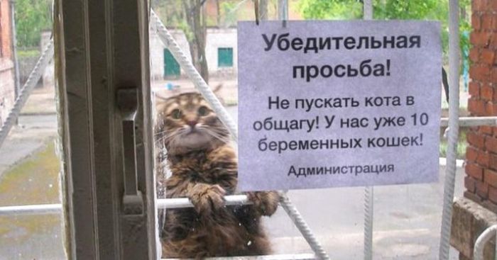 Креативные объявления