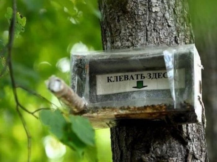 Креативные объявления