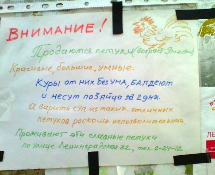 Креативные объявления