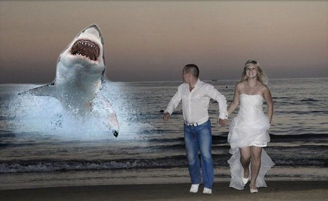 Свадебные снимки, которые надо сжечь вместе с фотографом