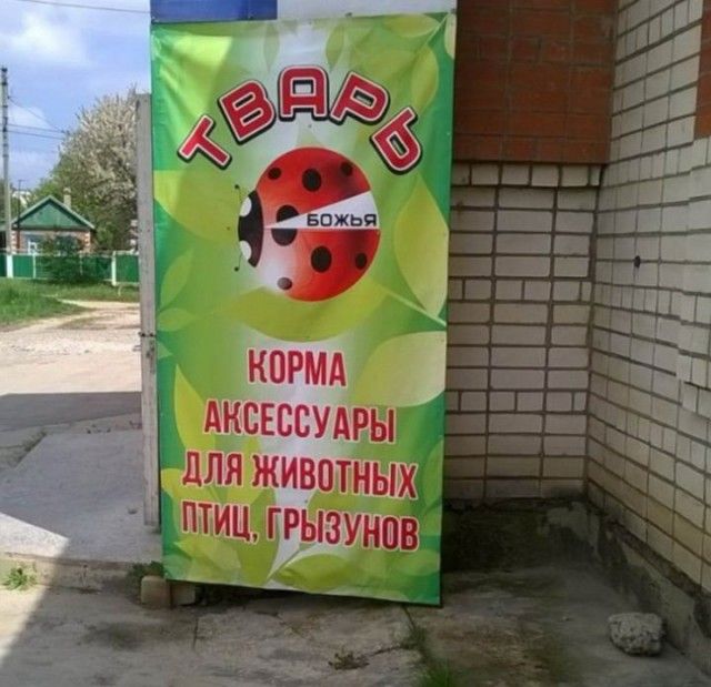 Странные и забавные фото из России