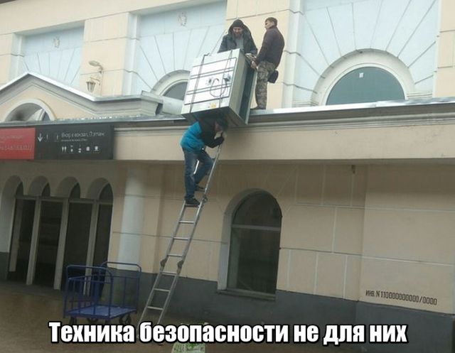 Прикольные картинки