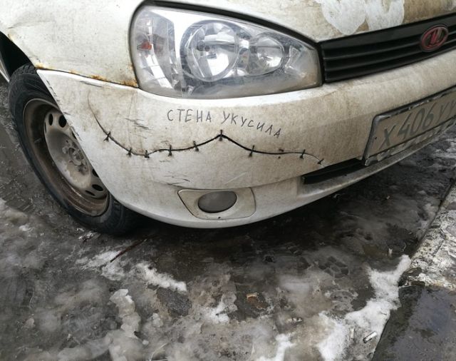 Прикольные картинки