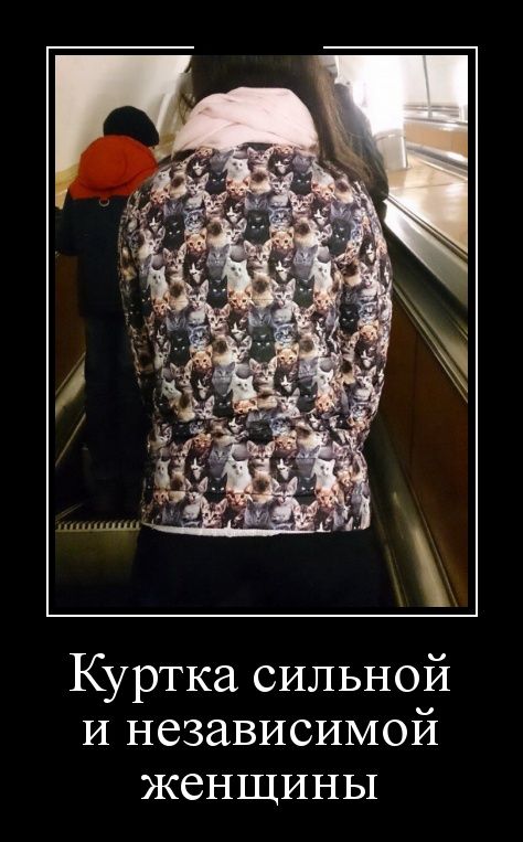 Демотиваторы