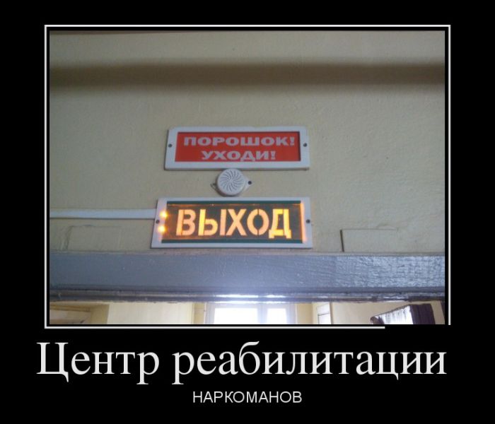 Демотиваторы