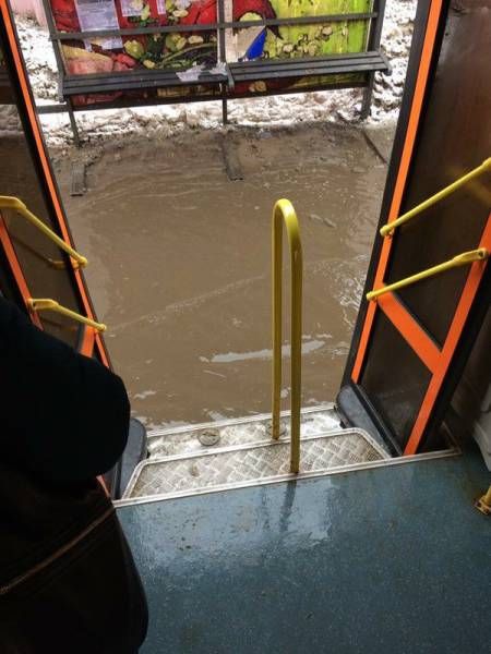 Прикольные картинки