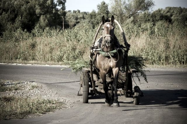 Лето в деревне