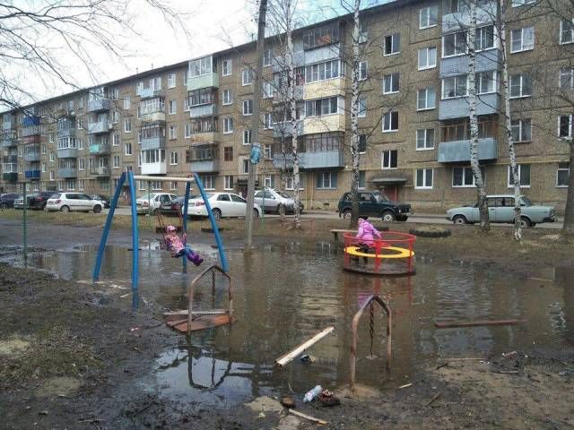 Прикольные картинки