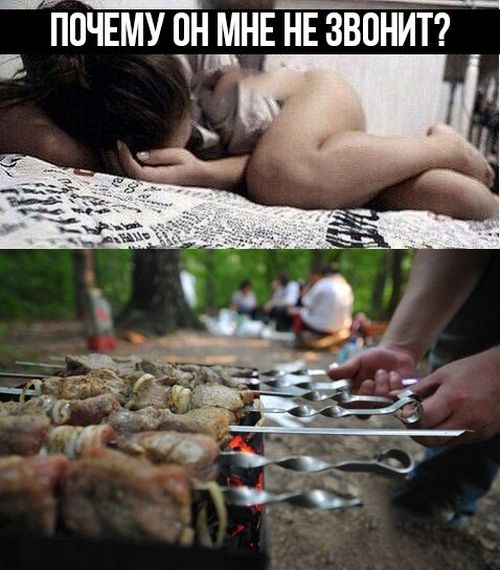 Прикольные картинки