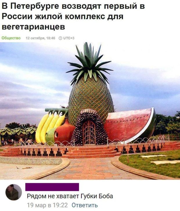 Юмор из социальных сетей
