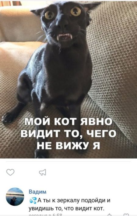 Юмор из социальных сетей