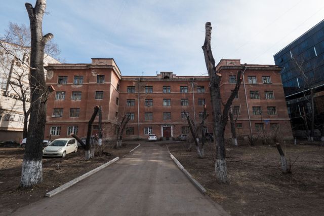 Деревья-обрубки из российских городов