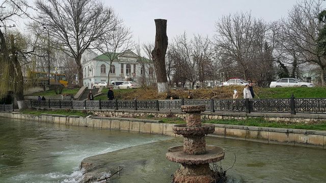 Деревья-обрубки из российских городов
