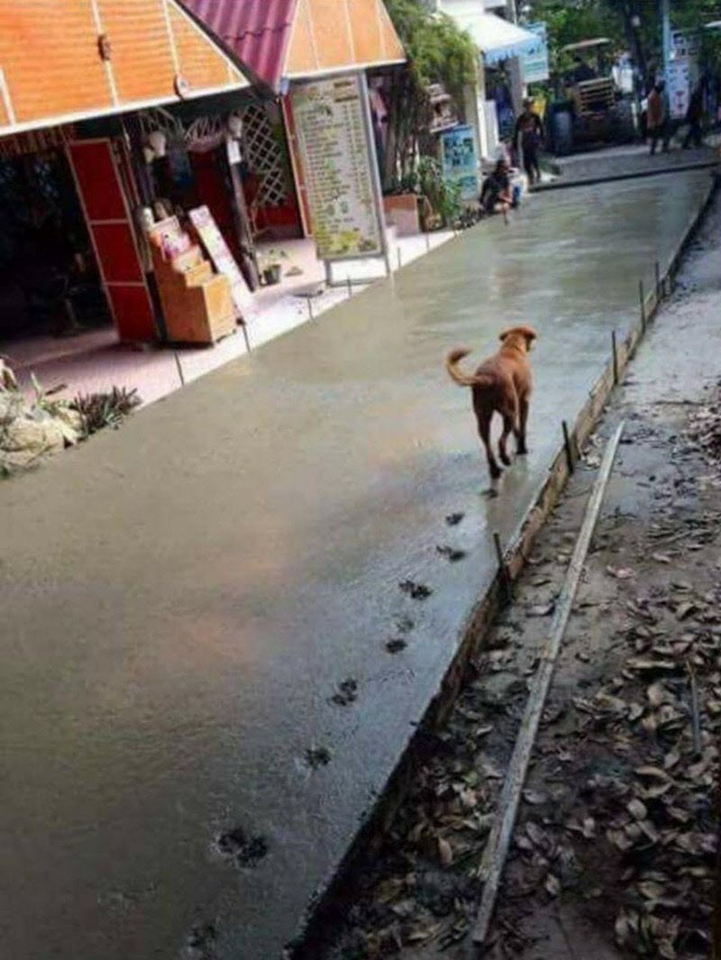 Бывают в жизни огорчения