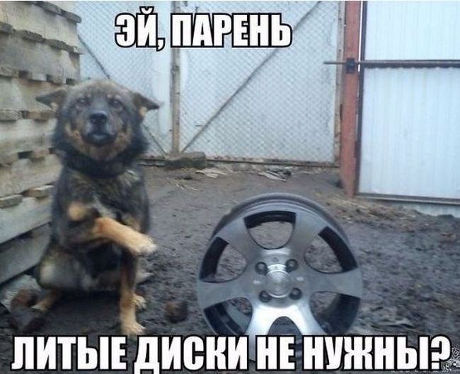 Автомобильный юмор