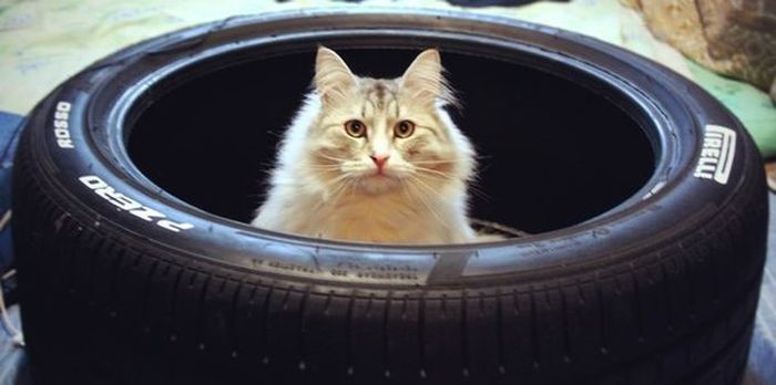 Автомобильный юмор