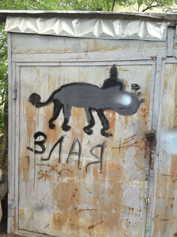 Прикольные картинки