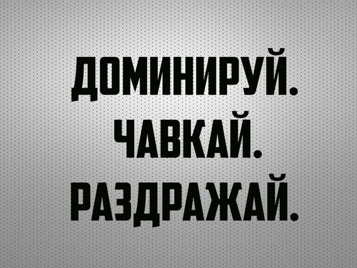 Порция картинок