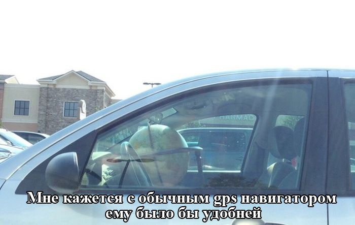 Порция картинок