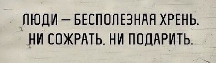 Порция картинок