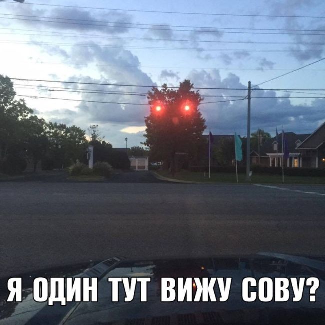 Веселые картинки с подписями