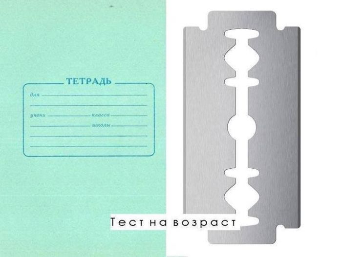 Веселые картинки с подписями