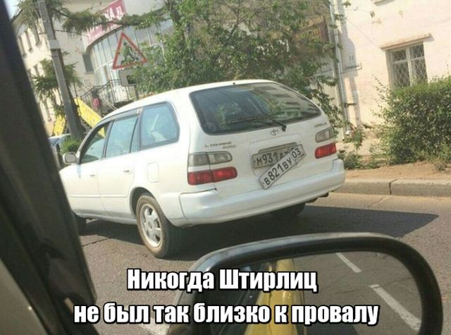 Прикольные картинки