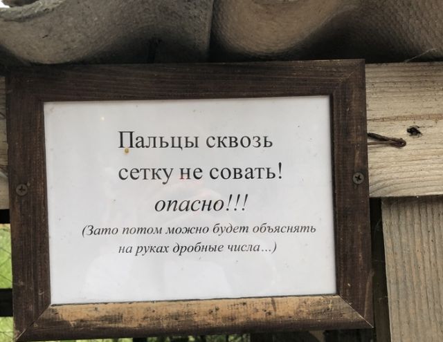 Прикольные картинки