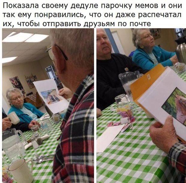 Прикольные картинки