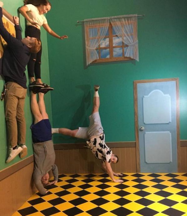 Прикольные картинки