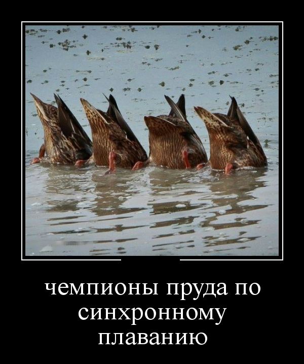 Демотиваторы