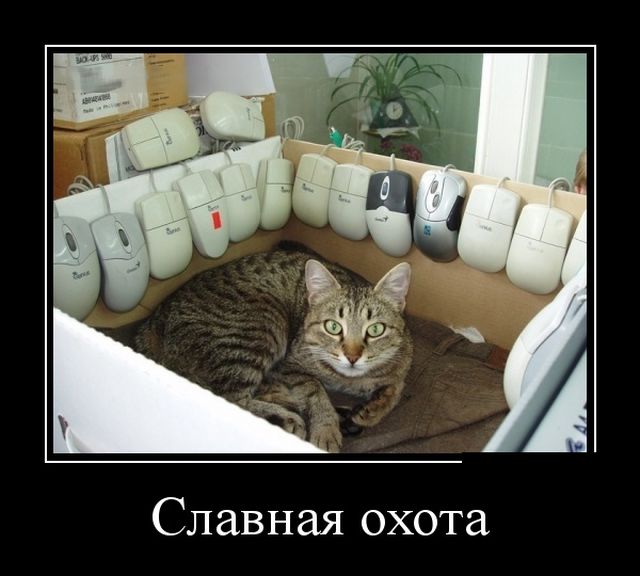 Демотиваторы