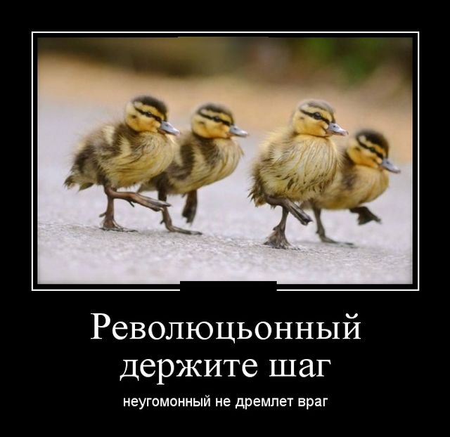 Демотиваторы