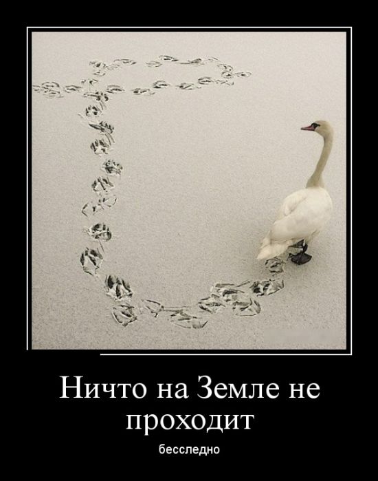 Демотиваторы