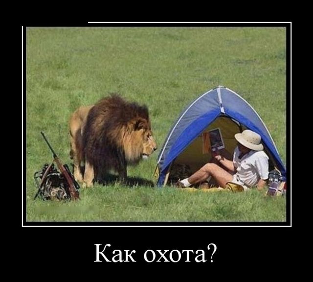 Демотиваторы