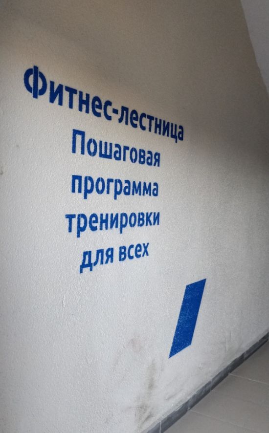 В питерской новостройке сделали лестницу с программой тренировки