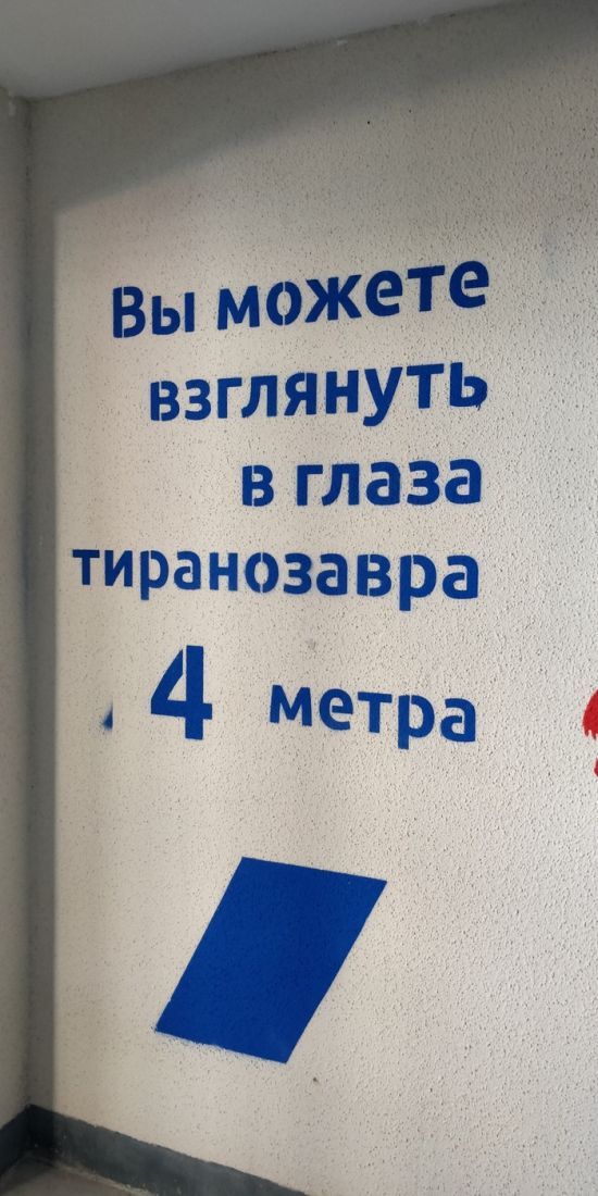 В питерской новостройке сделали лестницу с программой тренировки