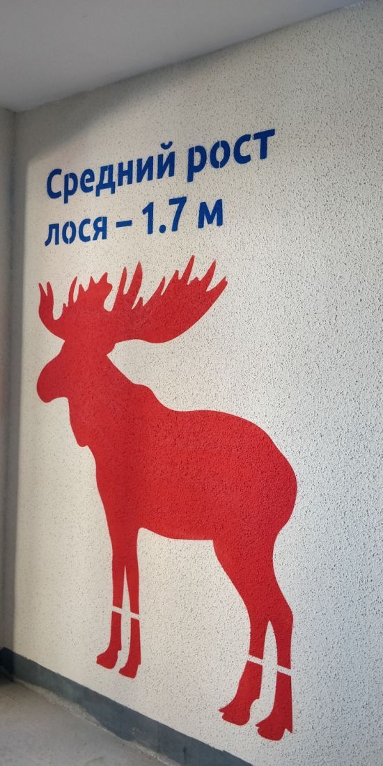 В питерской новостройке сделали лестницу с программой тренировки