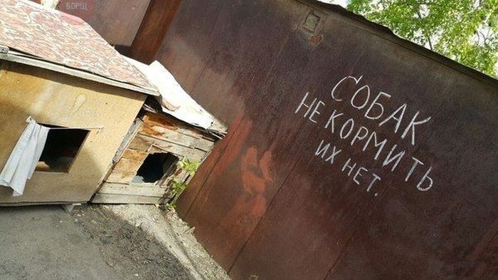 Порция картинок