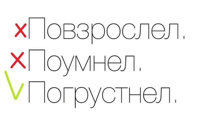 Порция картинок