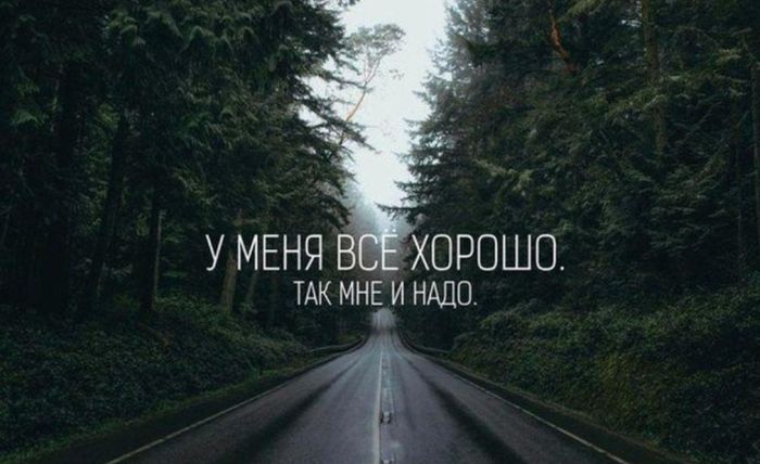 Порция картинок
